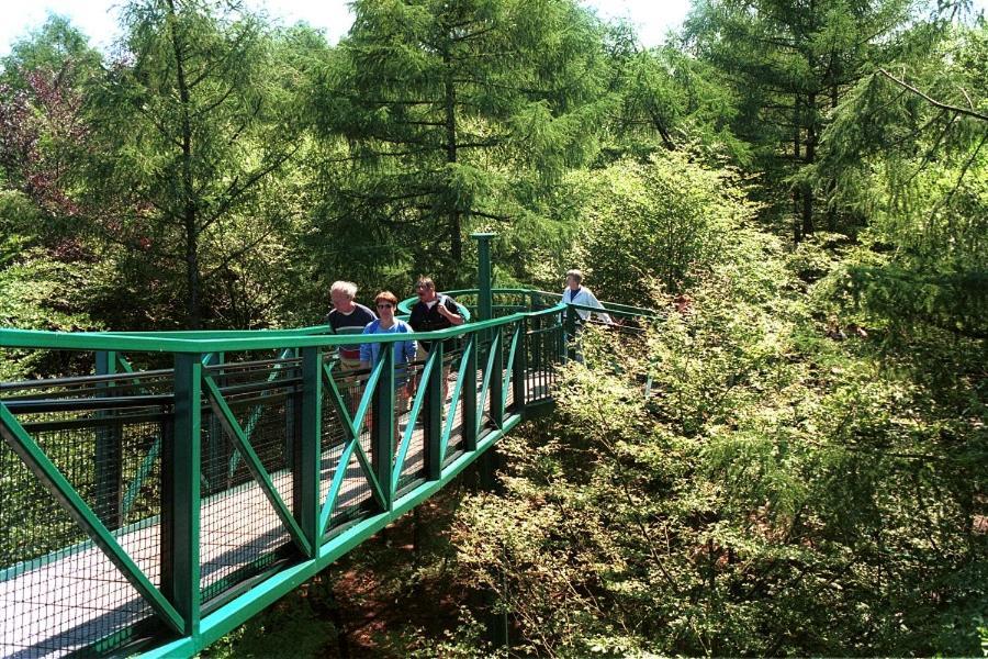 Chalet 15 "De Tien Heugten" Vakantiepark Schoonloo Εξωτερικό φωτογραφία